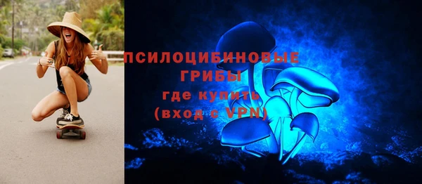 прущий лед Алексин