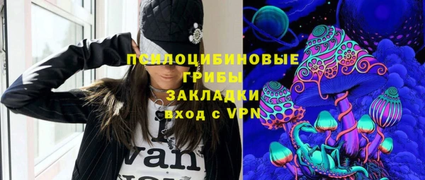 прущий лед Алексин